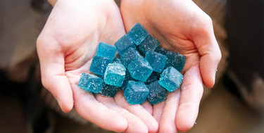 Close up of hands holding a bunch of blue 10mg Delta 9 THC gummies
