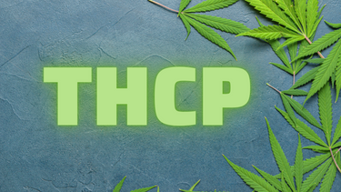 How is THCP Made?