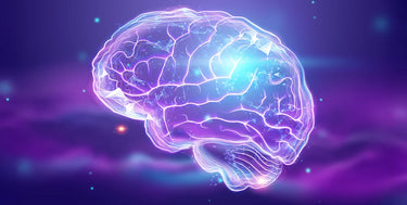 Graphic of the brain