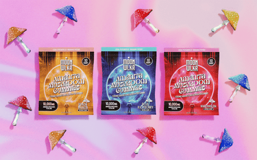 A Complete Buyer's Guide to Amanita Mushroom Gummies