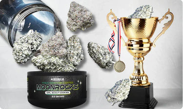 Girl Scout Cookies Moonrocks nugs in a trophy