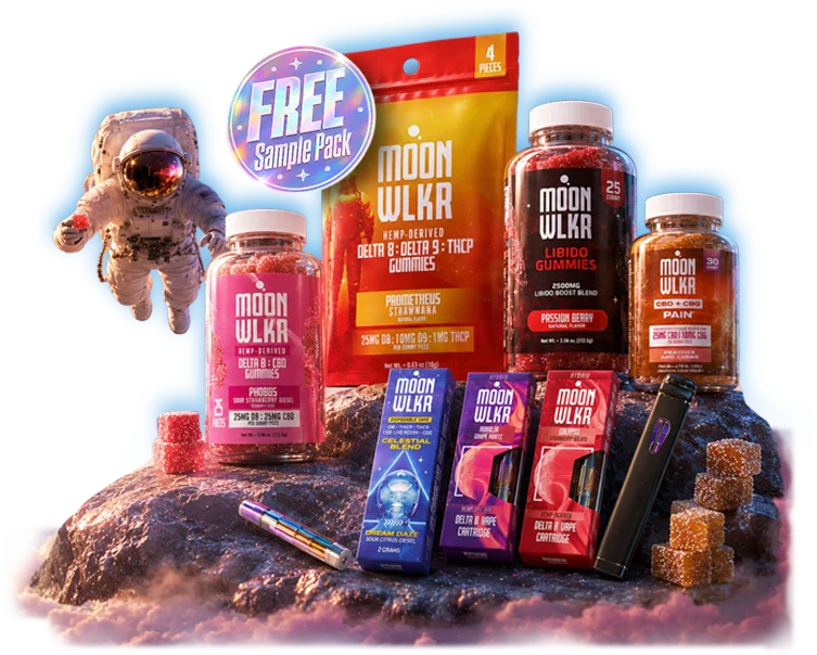 Explore More Sale