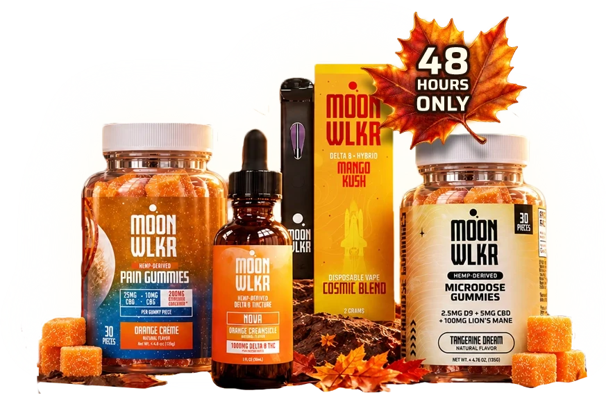 Fall Flash Sale