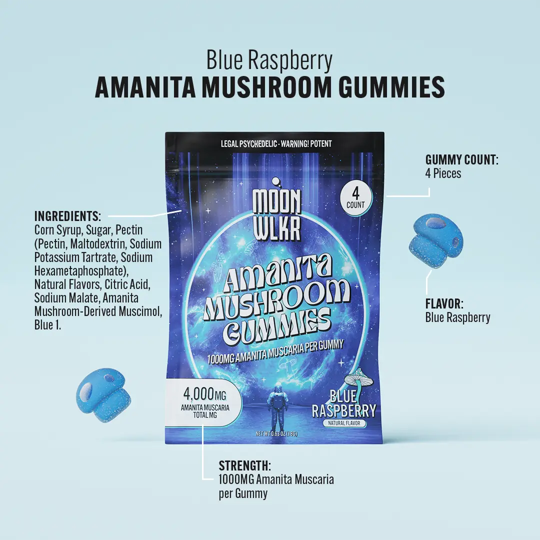 Amanita Mushroom Gummies — Blue Raspberry