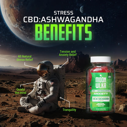 CBD:Ashwagandha Stress Relief Gummies — Mixed Berry