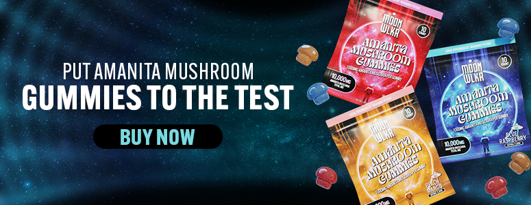 put amanita mushroom gummies to the test