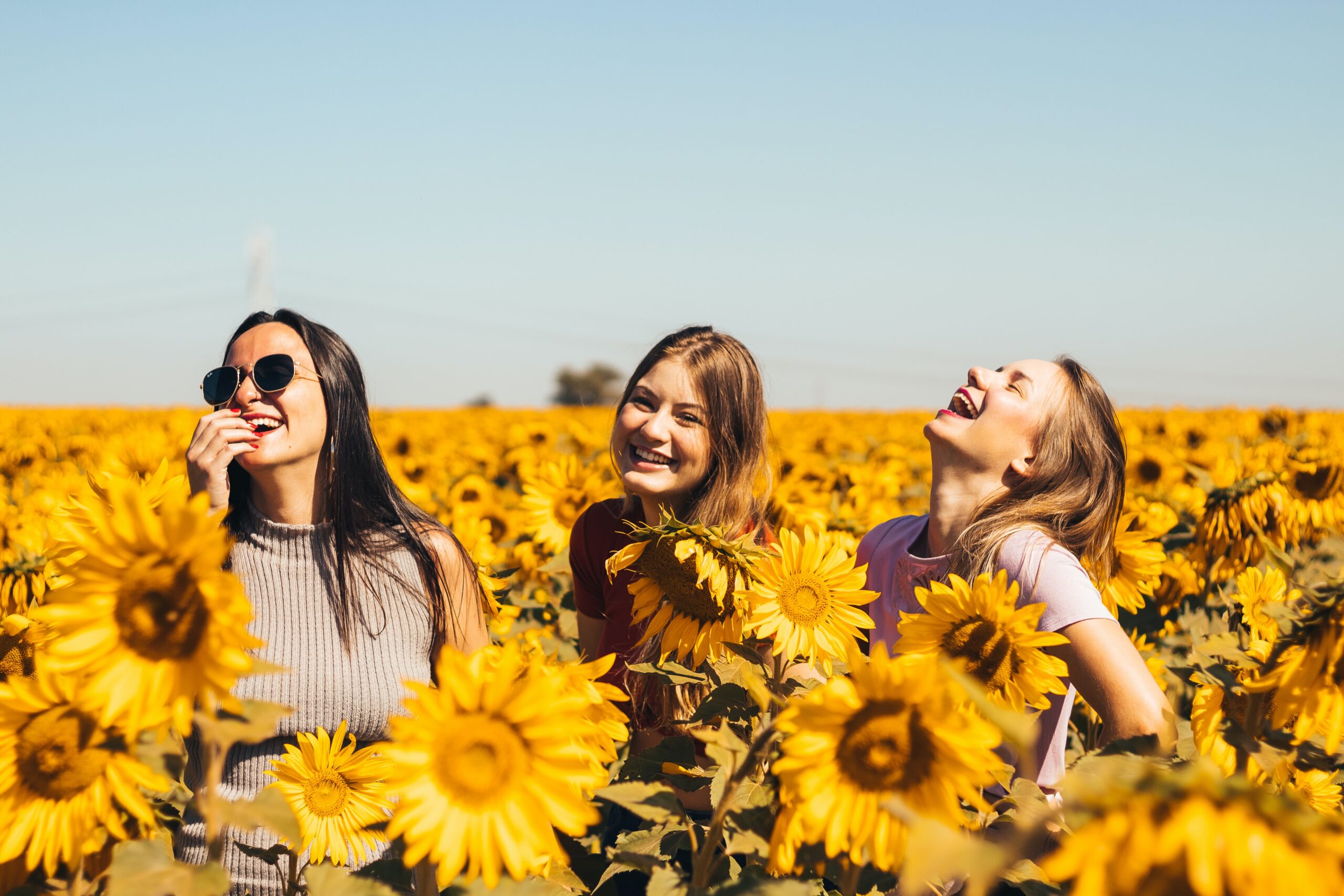 Happy people standing and laughing in a sunflower field