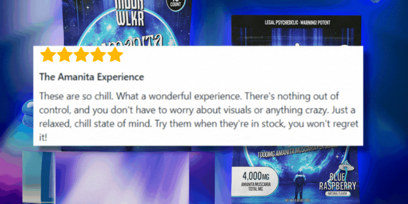 The Amanita Experience 5 star review