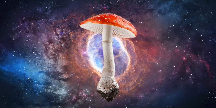 Amanita Mushroom in front of a space galaxy background