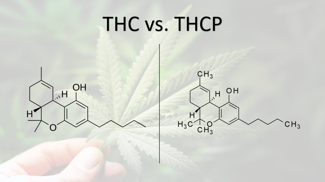 THC vs THCP Molecule Comparison