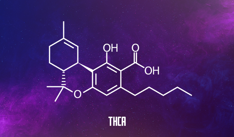 Chemical structure of THCA
