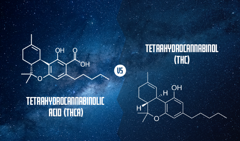 Diagram displaying the differences in chemical structures of THCA and THC