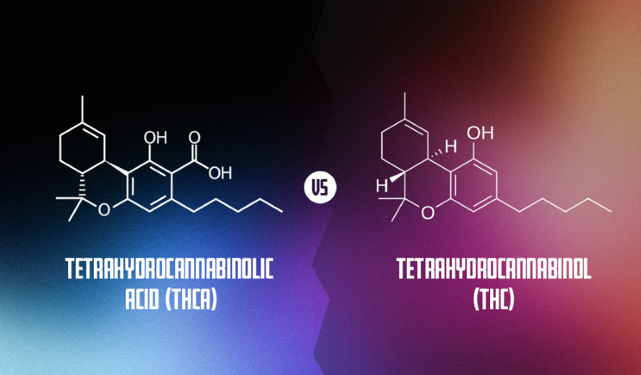 Diagram displaying the difference in the THC-A and THC chemical structures