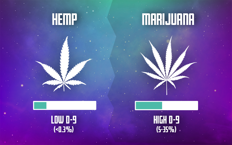 Chart displaying the difference of Delta-9 presence in hemp versus marijuana