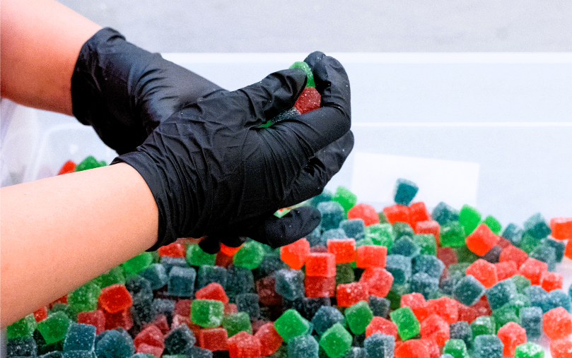 Container full of different flavors of delta-9 gummies being sorted by hands in black sanitary gloves