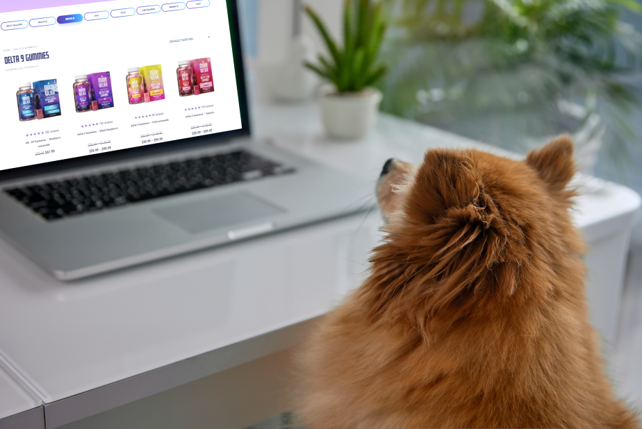 Dog looking at laptop screen displaying Moonwlkr delta-9 gummies shop
