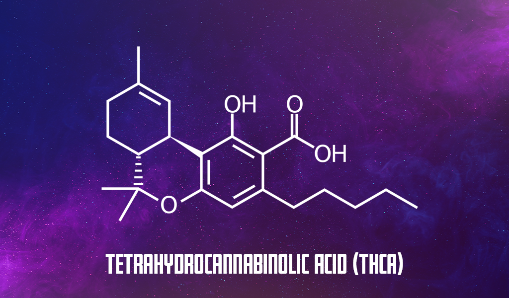 THCA or Tetrahydrocannabinolic Acid chemical structure