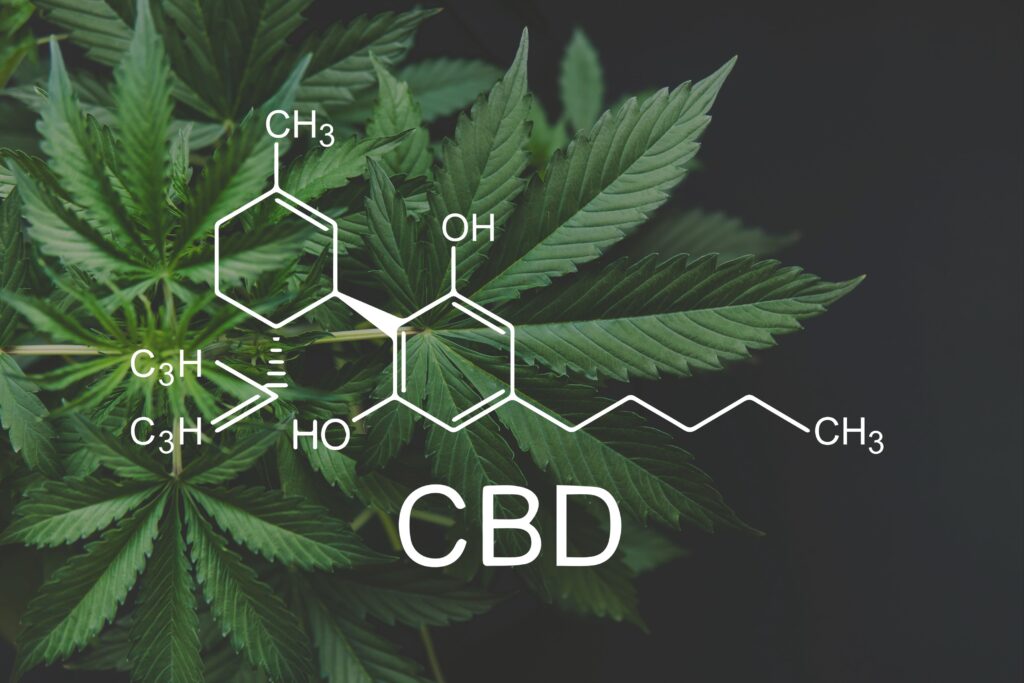 a diagram of the CBD chemical structure in front of hemp plants
