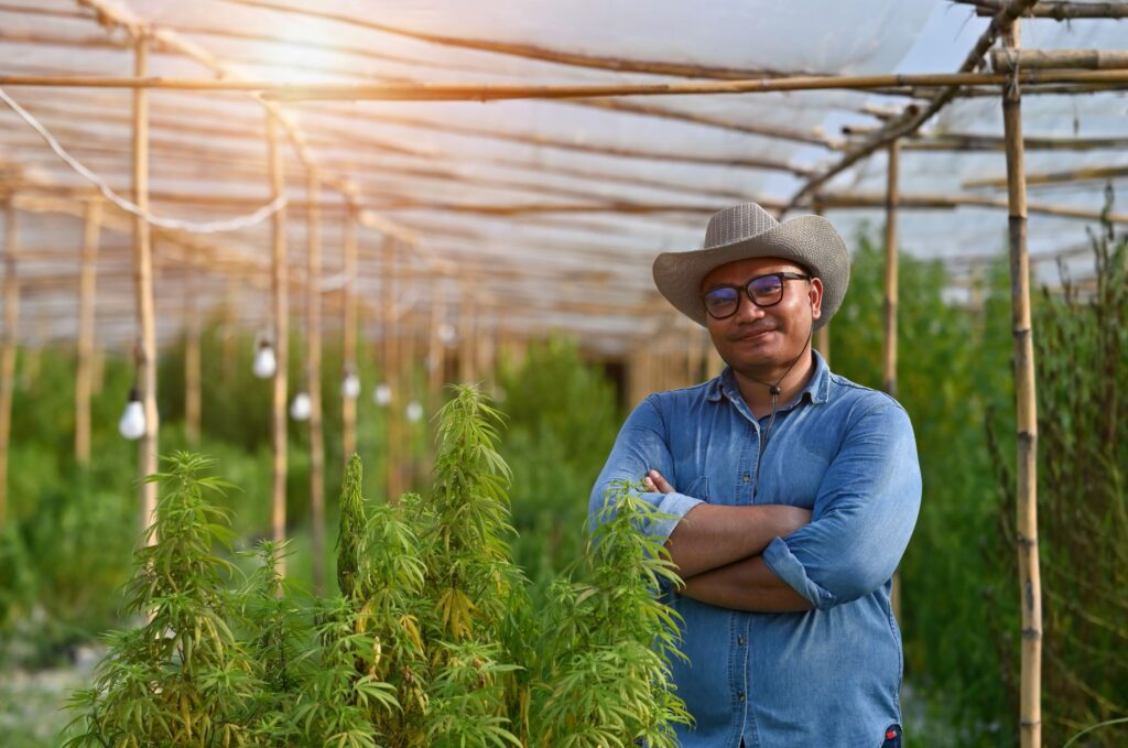 Man standing proudly in front of rows of cannabis plants