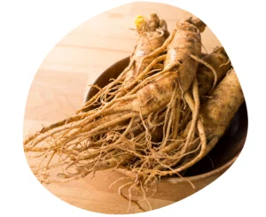 Red ginseng 